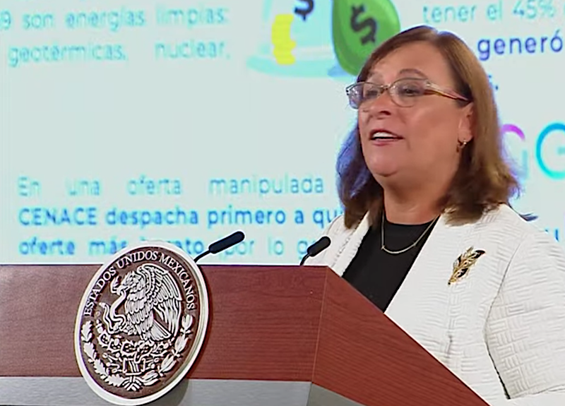 Rocío Nahle, Secretaria de Energía