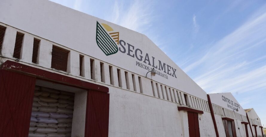 Detienen a Manuel Lozano, ex director de comercialización de Segalmex, por desfalco millonario