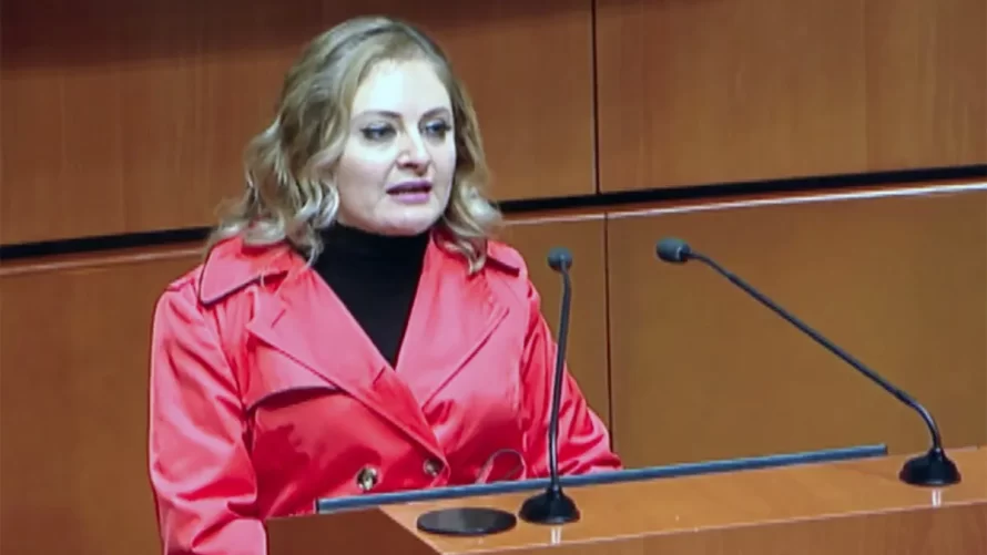 Debe Senado salvaguardar independencia, imparcialidad y autonomía de la Corte: Claudia Anaya