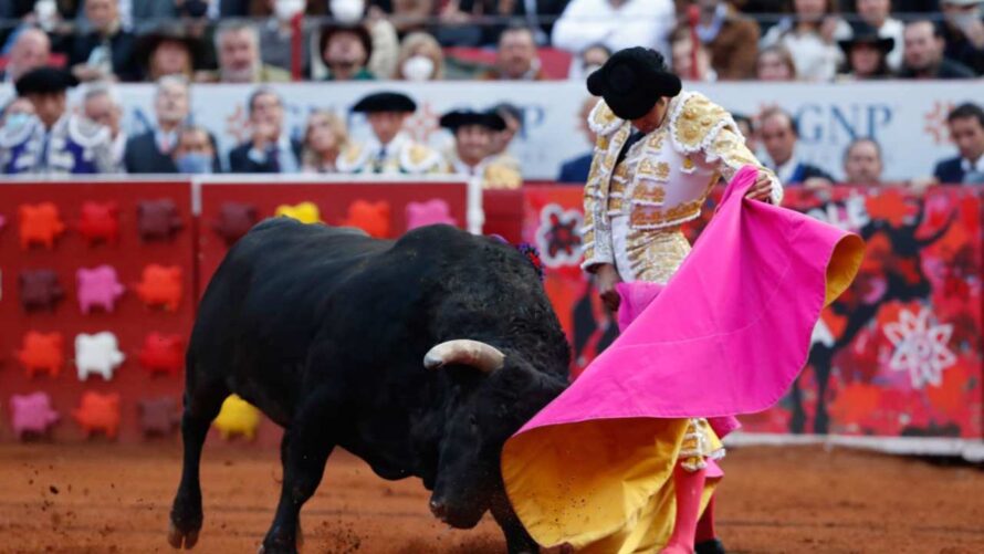 Hará AMLO consulta ciudadana para que gente opine sobre regreso de corridas de toros a CdMx
