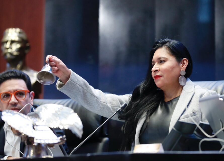 Prioridad para el Senado reformas que promoverá AMLO: Ana Lilia Rivera
