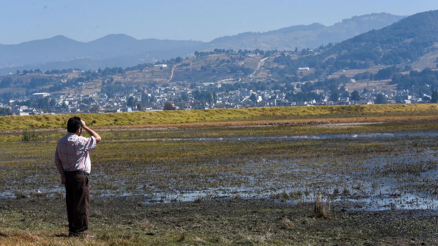 Alertan sobre Posible Año Más Caluroso en México: Crisis de Agua y Alimentos en Perspectiva
