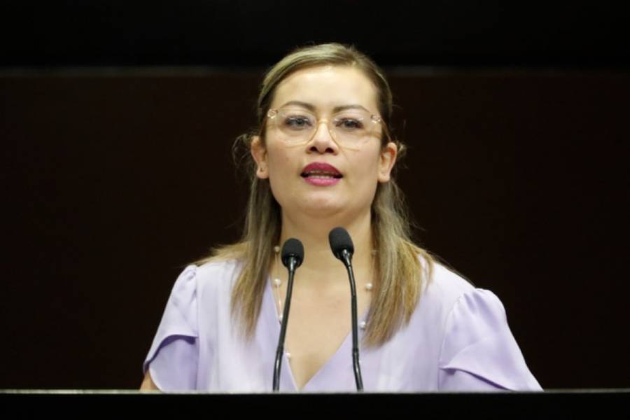 Julieta Vences Propone Regular el Trabajo Doméstico No Remunerado para Combatir Desigualdades de Género