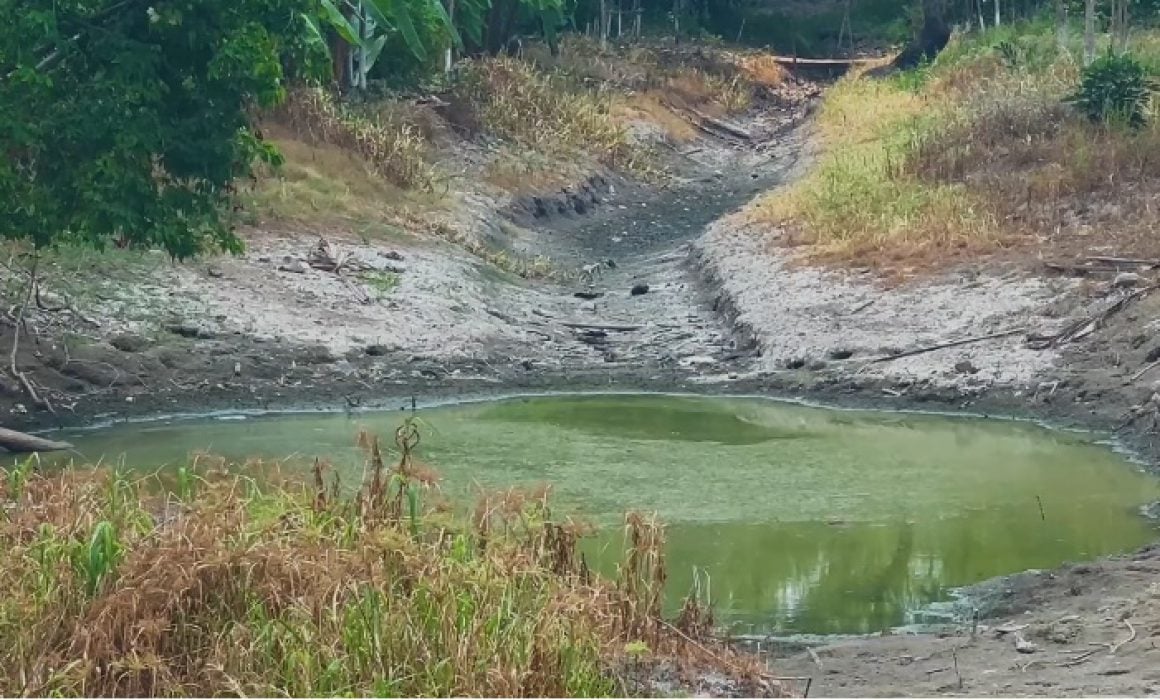 Desafíos ambientales en Tabasco: Habitantes conviven con cementerios tóxicos