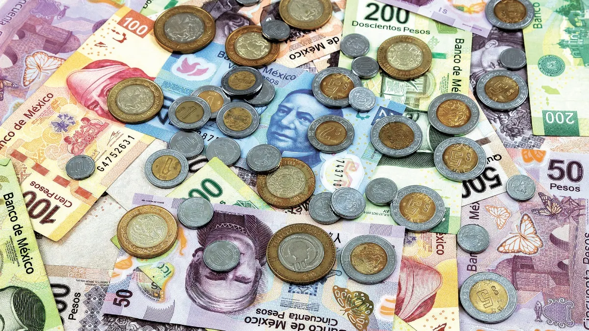 Cotización del Peso Mexicano Frente al Dólar el 18 de enero de 2024: Estabilidad en el Mercado de Divisas