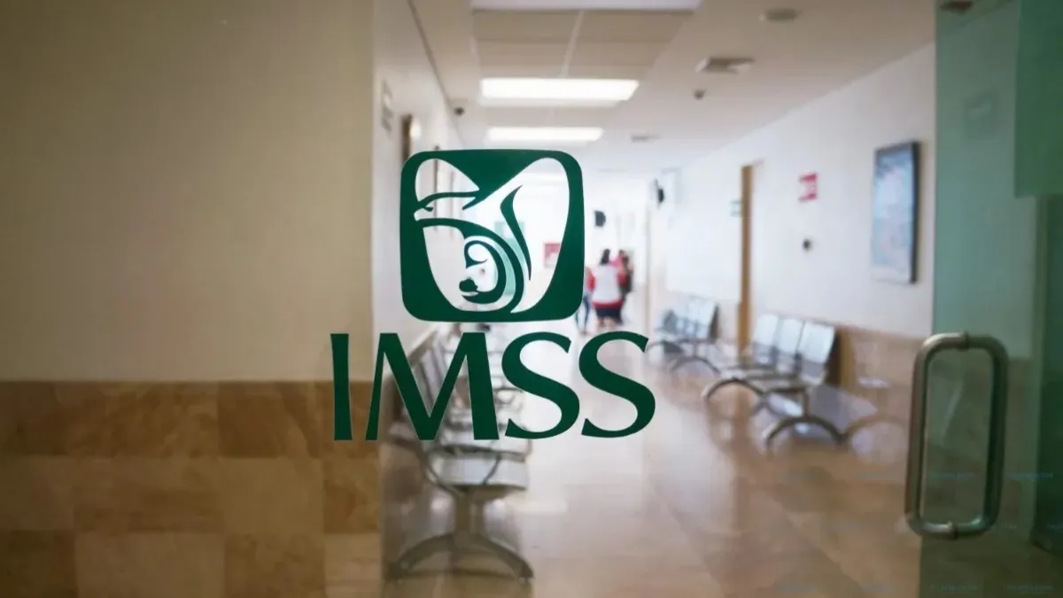 Inscripción al Programa del IMSS para Trabajadores Independientes: Pasos y Beneficios