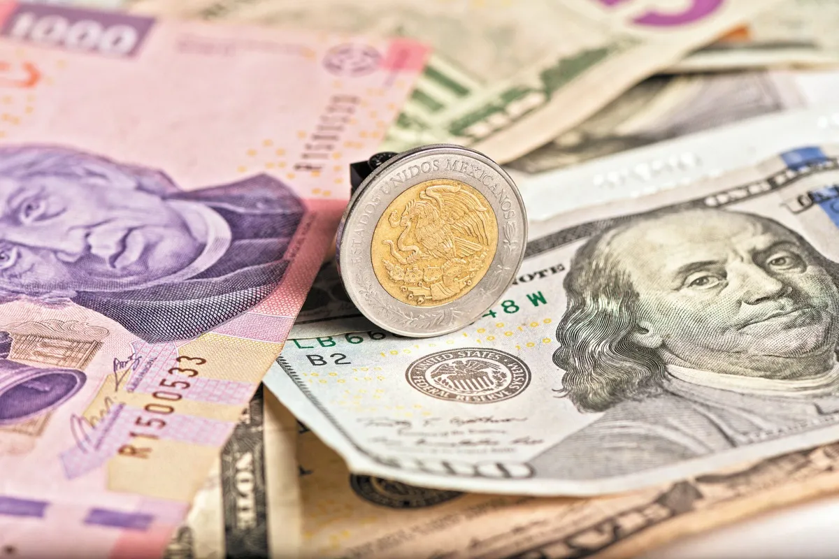 Actualización del Tipo de Cambio al 29 de enero de 2024: Peso Mexicano Retrocede Ligeramente Frente al Dólar