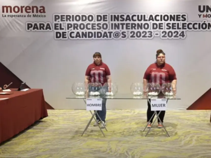 La Elección de Morena para el Congreso de la Unión: Conoce a los Nuevos Rostros Políticos