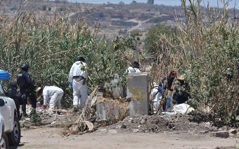 Buscadoras de Desaparecidos en México Exigen Protección Ante Amenazas