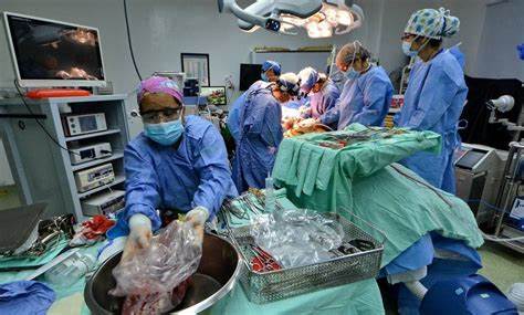 IMSS Destaca como Líder Nacional en Obtención de Órganos y Tejidos