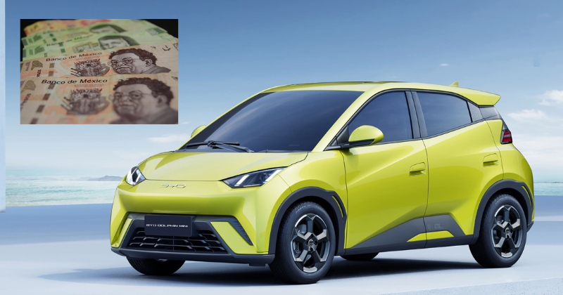 Samuel García se Reúne con CEO de BYD en América Latina para Impulsar la Electromovilidad en Nuevo León
