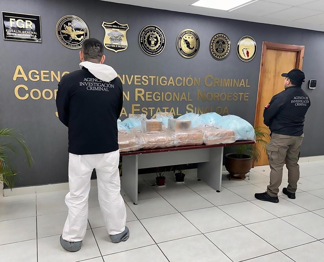 Operativo Exitoso en Sinaloa: Panales de Abeja Escondían Enorme Carga de Fentanilo
