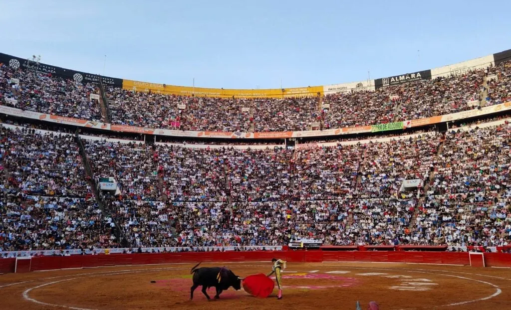 Libertad en la Arena: El Regreso Triunfal de las Corridas de Toros