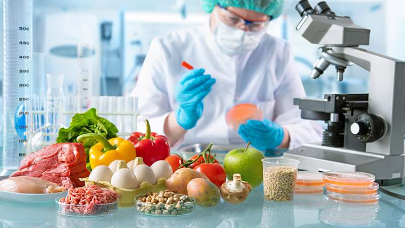 ¡Alerta en México! Descubren presencia de plomo en alimentos, incluidas fórmulas para bebé