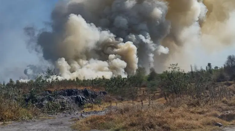 Emergencia en el Parque Ecológico de Cuemanco: Incendio Descontrolado Requiere Respuesta Urgente
