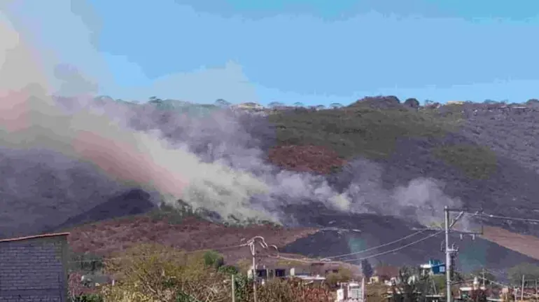 Incendio Emergente Cerca de Monte Albán en Oaxaca Despierta Alarmas