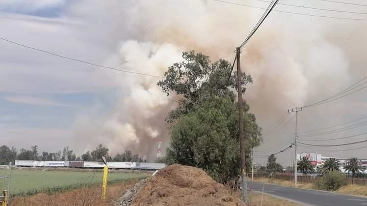 Nuevo Siniestro en la Desolada Laguna de Zumpango: Incendio Devasta por Segunda Vez