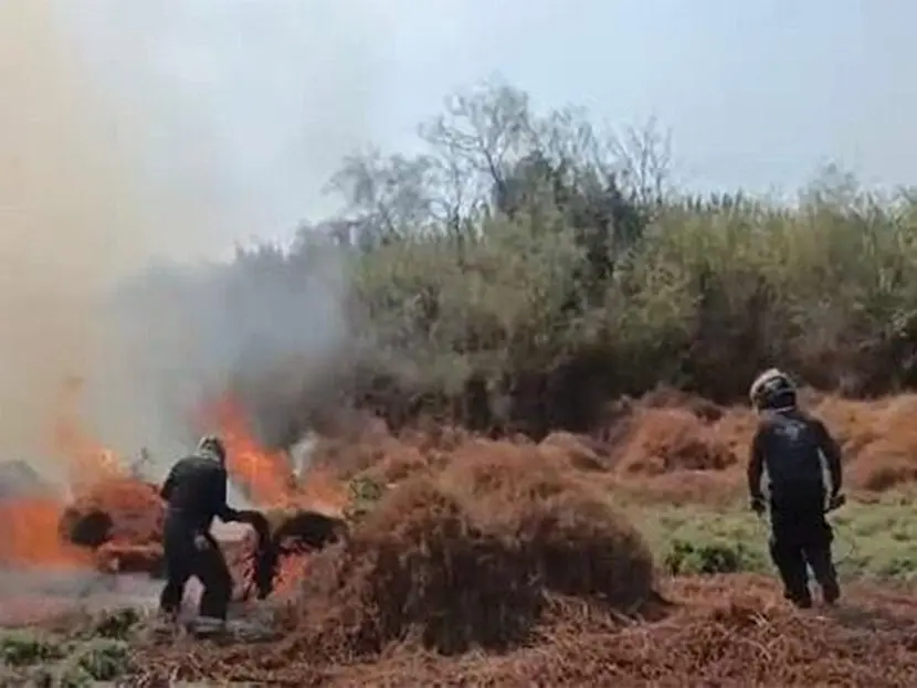 Suspensión de Clases en CCH Azcapotzalco Debido a Incendio en Vaso Regulador