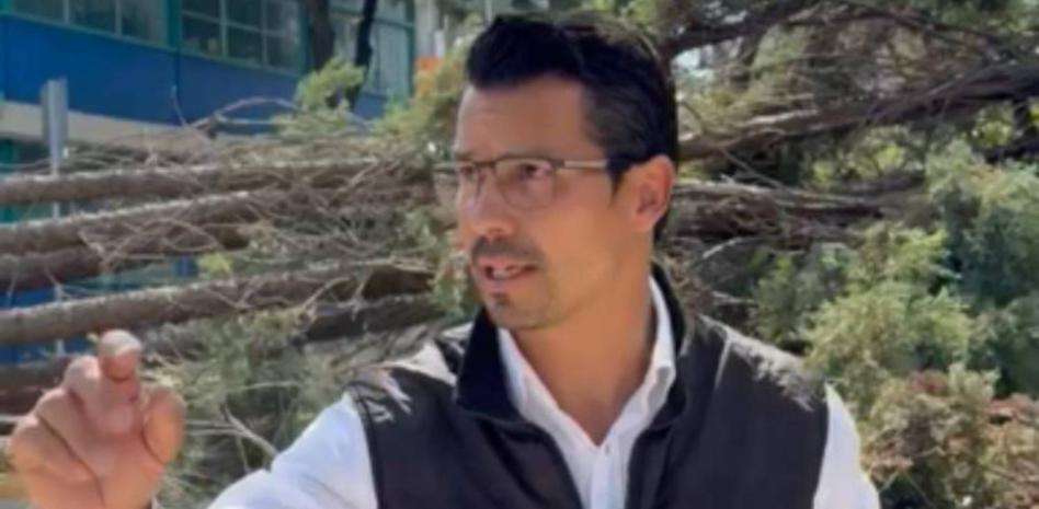 Ulises Labrador: Obras Mal Ejecutadas en Miguel Hidalgo Provocan Derribo de Árboles