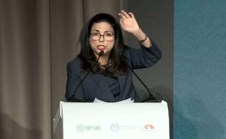 Marcela Guerra abogará ante la UIP por la Adopción del Español como Idioma Oficial en la Corte Internacional de Justicia