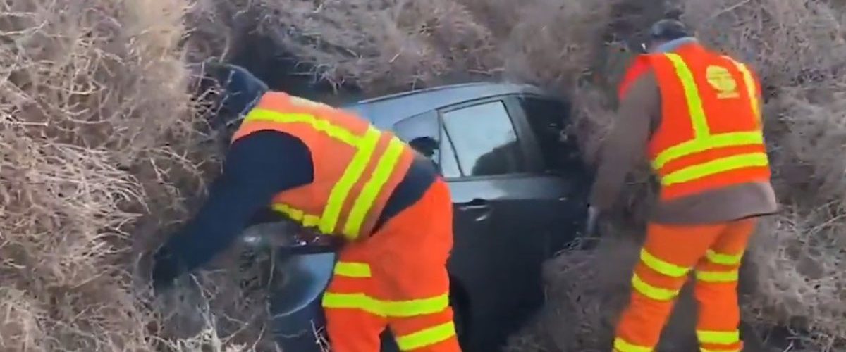 Invasión de Plantas Rodadoras en un Pueblo de Utah Después de una Tormenta