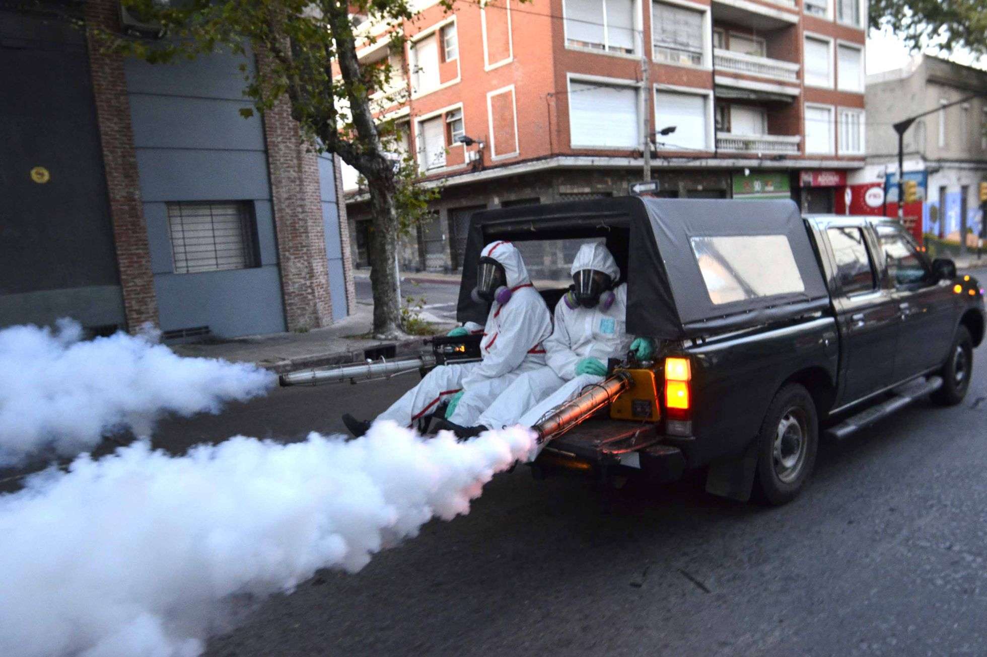 Dengue en Uruguay en su peor momento, según la ministra de Salud Pública