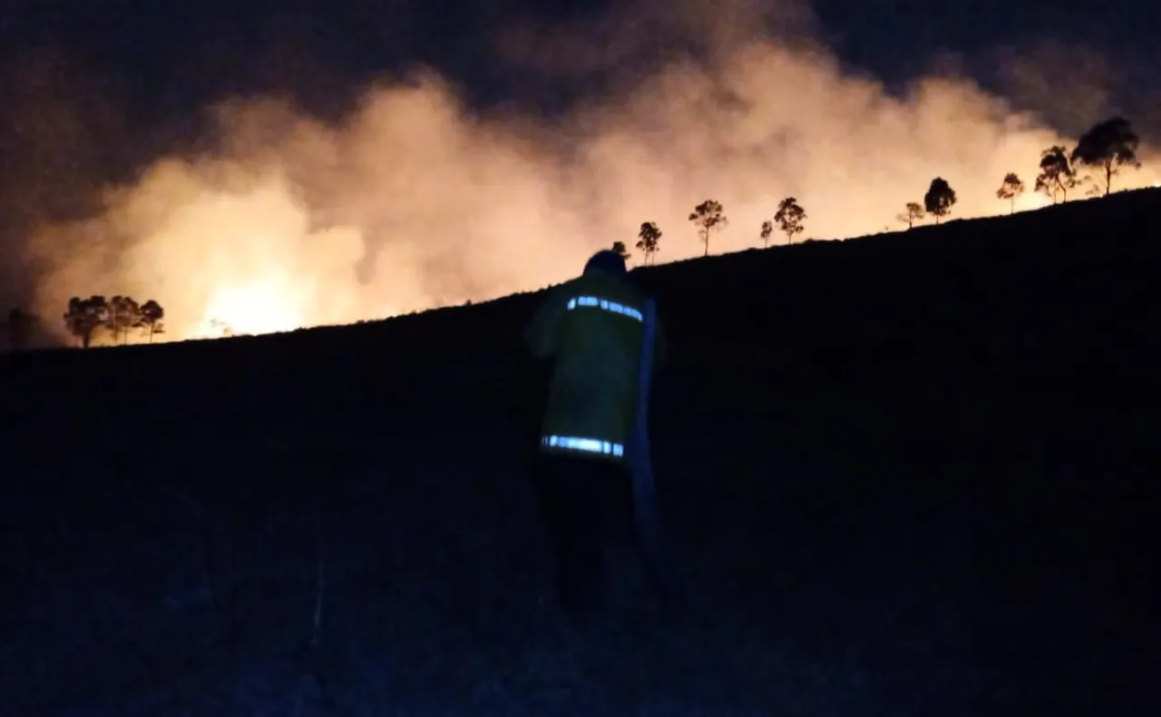 Fuerte Incendio Devasta Reserva Ecológica de la Sierra de Guadalupe en Tlalnepantla