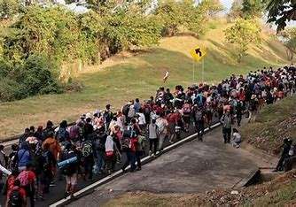 Rescate de 144 Migrantes en Coahuila: Hallazgo en Furgón de Tren