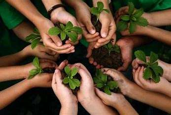 Sería un “enorme fracaso” si la UE no aprueba la Ley de Restauración de la Naturaleza