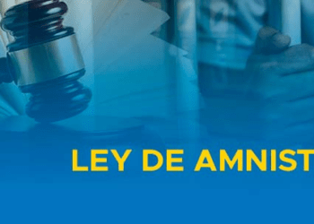 Ley de Amnistía: Contribución al Sistema Democrático de México