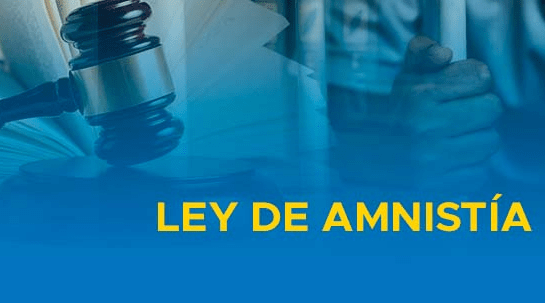 Ley de Amnistía: Contribución al Sistema Democrático de México