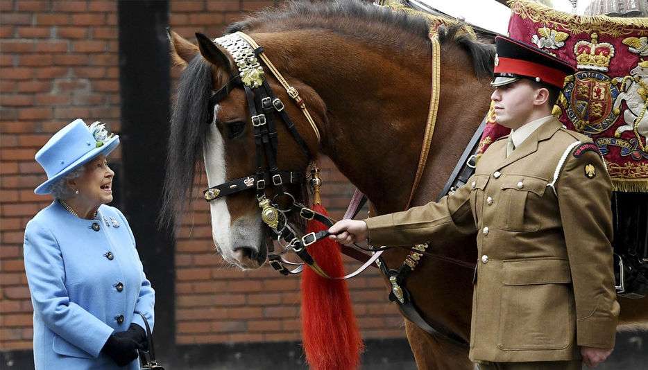 Caballos del Ejército Británico Desbocados por el Centro de Londres