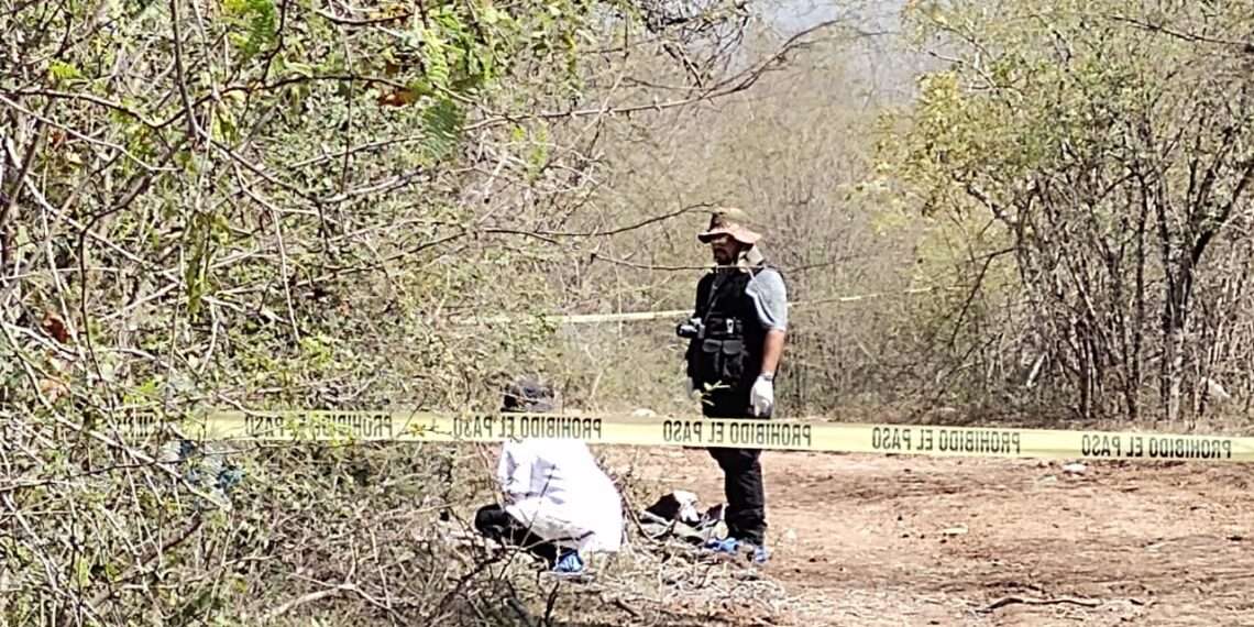 Hallazgo de Restos Humanos al Sur de Monterrey