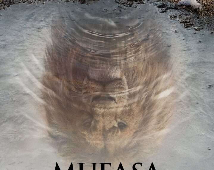 Mufasa: The Lion King – La Precuela Fotorrealista de Disney Revela su Primer Tráiler