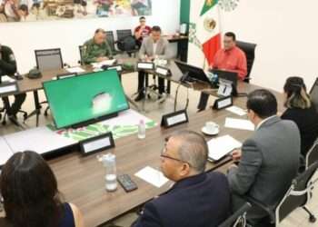 Líder de Grupo Criminal Arrestado en Rayón por la Guardia Civil Estatal