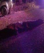 Fatal Accidente en El Dorado, Sinaloa
