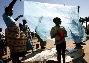 Malaria en África: Dos Nuevas Vacunas en un Momento Decisivo