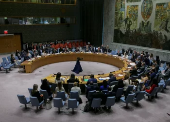 Renovación de Miembros en el Consejo de Seguridad de la ONU