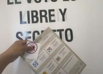 Elecciones 2024: INAI Da 5 Recomendaciones para Proteger tus Datos Personales