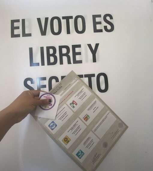 Elecciones 2024: INAI Da 5 Recomendaciones para Proteger tus Datos Personales