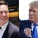 Trump considera a Elon Musk como asesor político si gana las elecciones