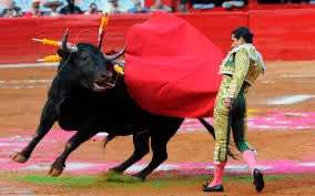 Toros