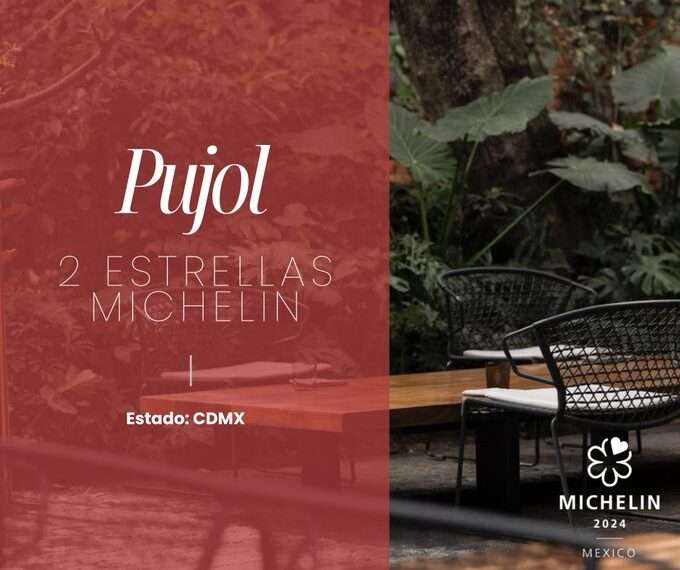 Estrellas Michelin en México: Elevando la Excelencia Gastronómica