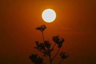 Ola de calor extremo afecta a México, Centroamérica y sur de EE.UU.
