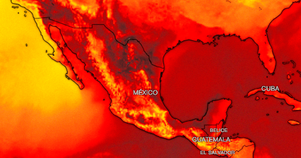 unam alerta sobre ola de calor