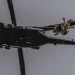 Despliegue Militar y Helicóptero Black Hawk Refuerzan la Seguridad en Zacatecas