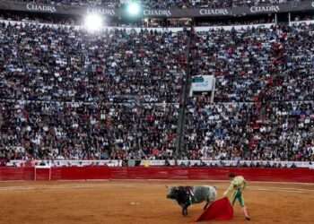 Suspensión de Corridas de Toros en CDMX: Juez Protege Derechos de los Animales