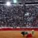 Suspensión de Corridas de Toros en CDMX: Juez Protege Derechos de los Animales