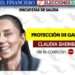 Claudia Sheinbaum es la Favorita en Encuesta de Salida de ‘El Financiero’