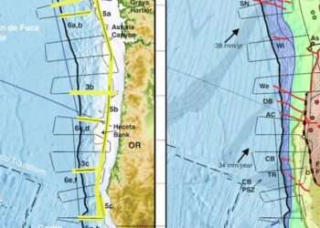 Crean el Primer Mapa del Potencial Impacto de “The Big One” en la Costa Oeste de EE.UU.